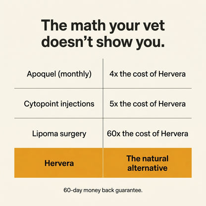 Hervera Mushroom Powder For Pets
