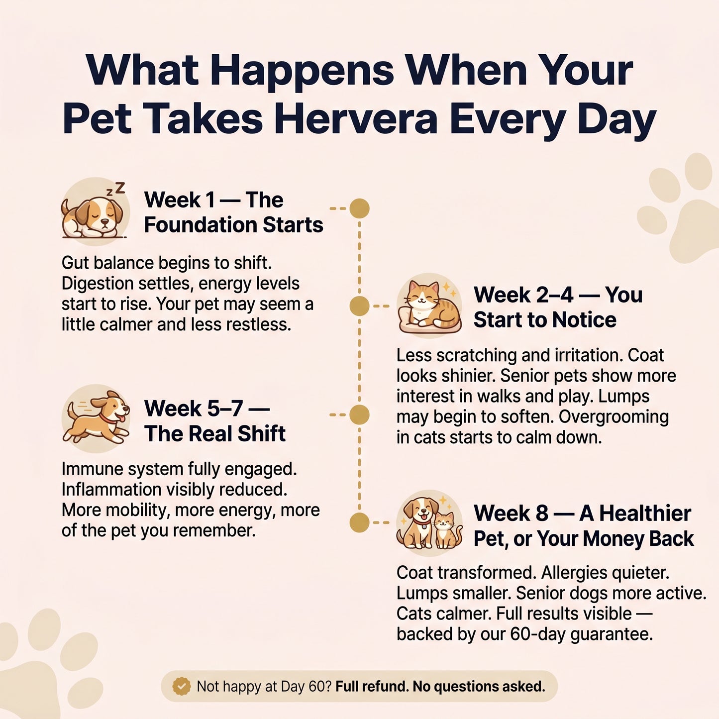 Hervera Mushroom Powder For Pets
