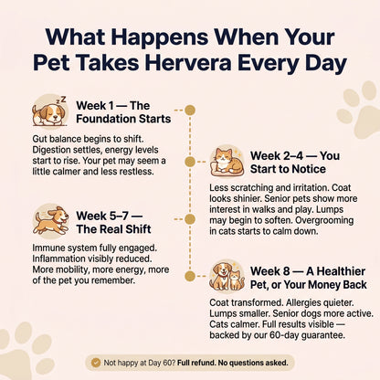 Hervera Mushroom Powder For Pets