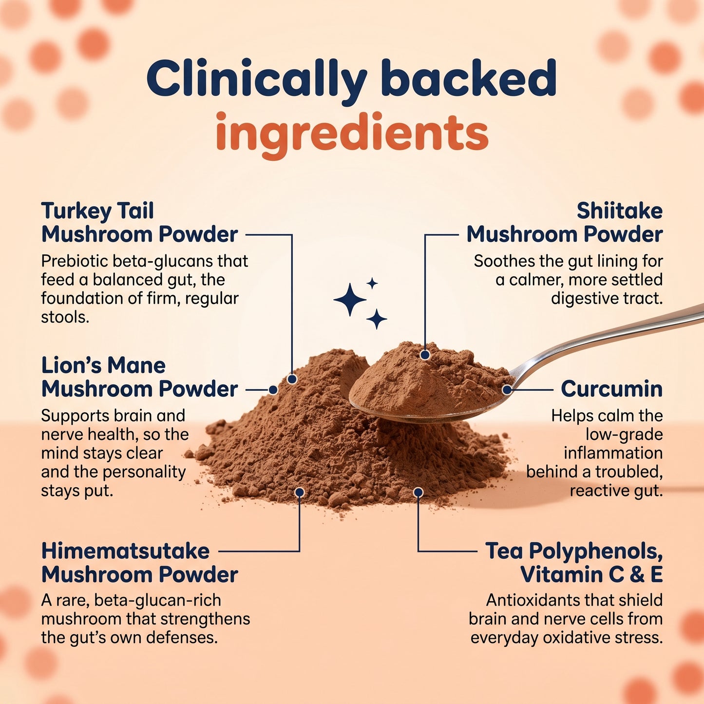 Hervera Mushroom Powder For Pets