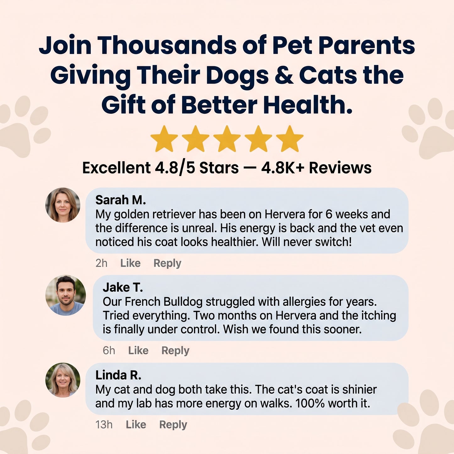 Hervera Mushroom Powder For Pets