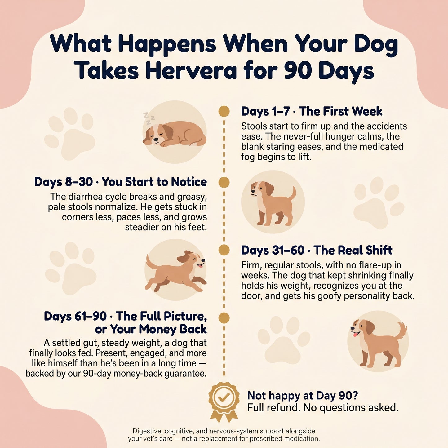 Hervera Mushroom Powder For Pets
