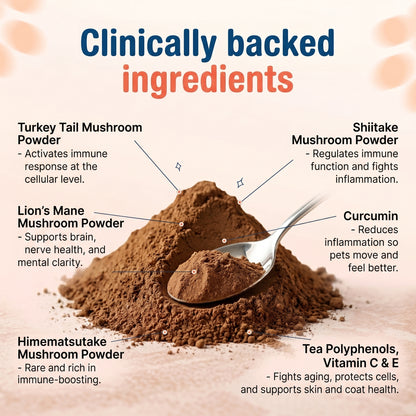 Hervera Mushroom Powder For Pets
